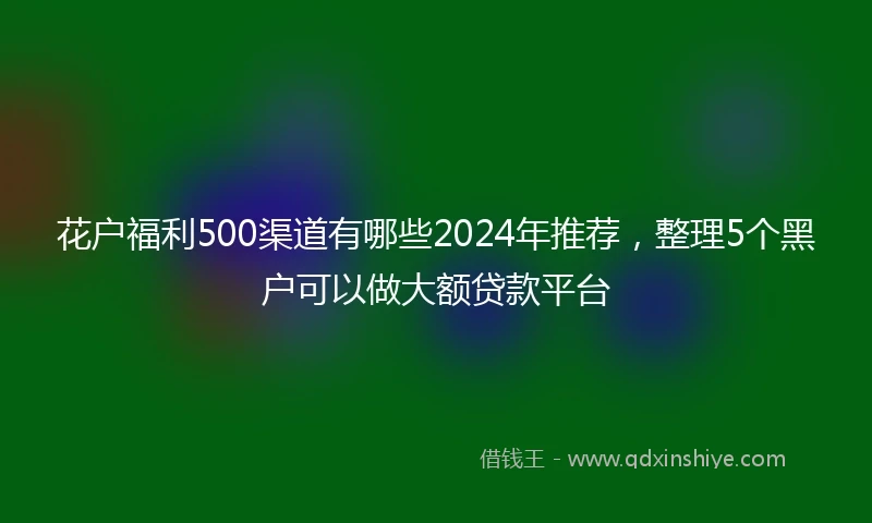 花户福利500渠道有哪些2024年推荐，整理5个黑户可以做大额贷款平台
