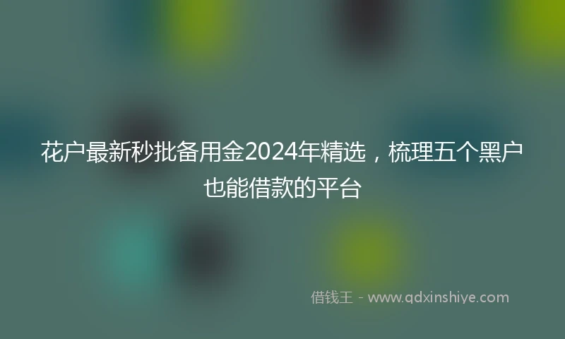 花户最新秒批备用金2024年精选，梳理五个黑户也能借款的平台