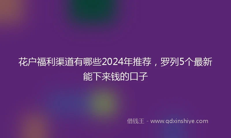 花户福利渠道有哪些2024年推荐，罗列5个最新能下来钱的口子