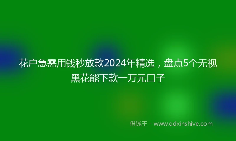 花户急需用钱秒放款2024年精选，盘点5个无视黑花能下款一万元口子