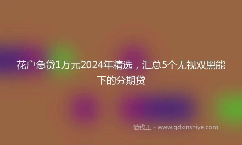花户急贷1万元2024年精选，汇总5个无视双黑能下的分期贷