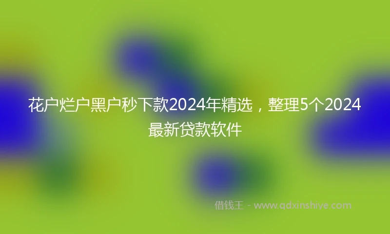 花户烂户黑户秒下款2024年精选，整理5个2024最新贷款软件
