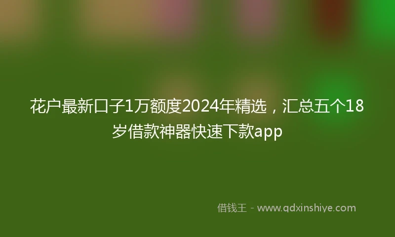 花户最新口子1万额度2024年精选，汇总五个18岁借款神器快速下款app