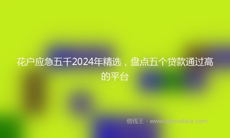 花户应急五千2024年精选，盘点五个贷款通过高的平台