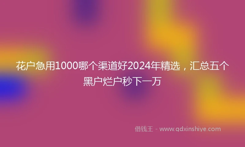 花户急用1000哪个渠道好2024年精选，汇总五个黑户烂户秒下一万