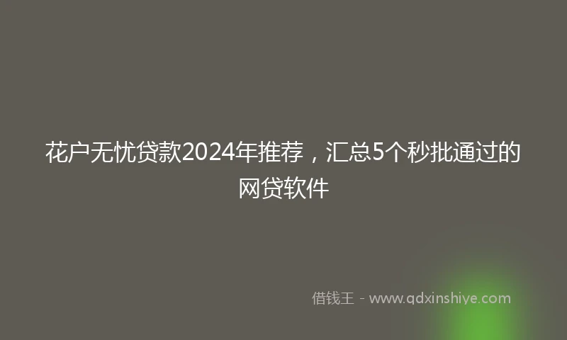 花户无忧贷款2024年推荐，汇总5个秒批通过的网贷软件