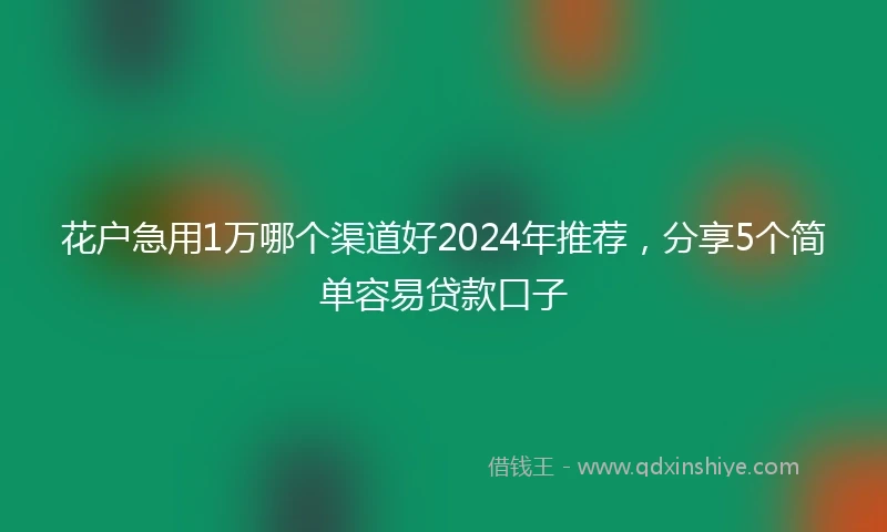 花户急用1万哪个渠道好2024年推荐，分享5个简单容易贷款口子