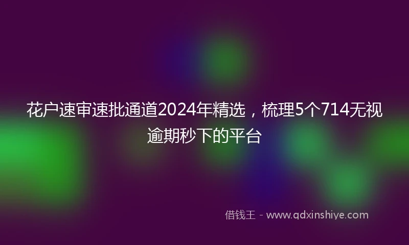 花户速审速批通道2024年精选，梳理5个714无视逾期秒下的平台