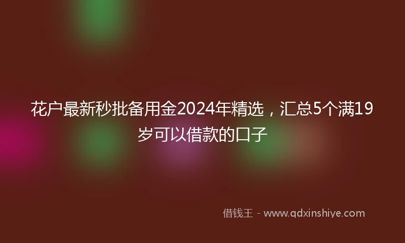 花户最新秒批备用金2024年精选，汇总5个满19岁可以借款的口子