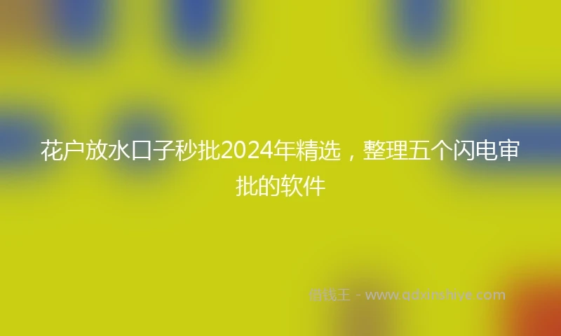花户放水口子秒批2024年精选，整理五个闪电审批的软件