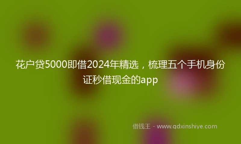 花户贷5000即借2024年精选，梳理五个手机身份证秒借现金的app