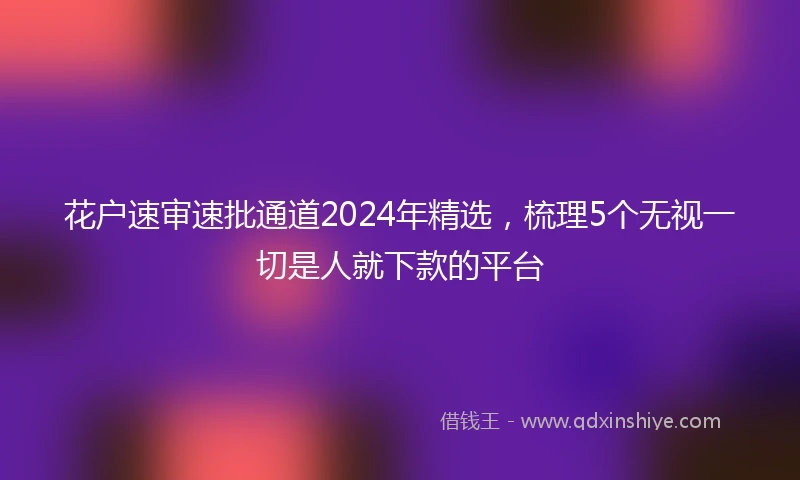 花户速审速批通道2024年精选，梳理5个无视一切是人就下款的平台