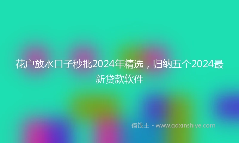 花户放水口子秒批2024年精选，归纳五个2024最新贷款软件