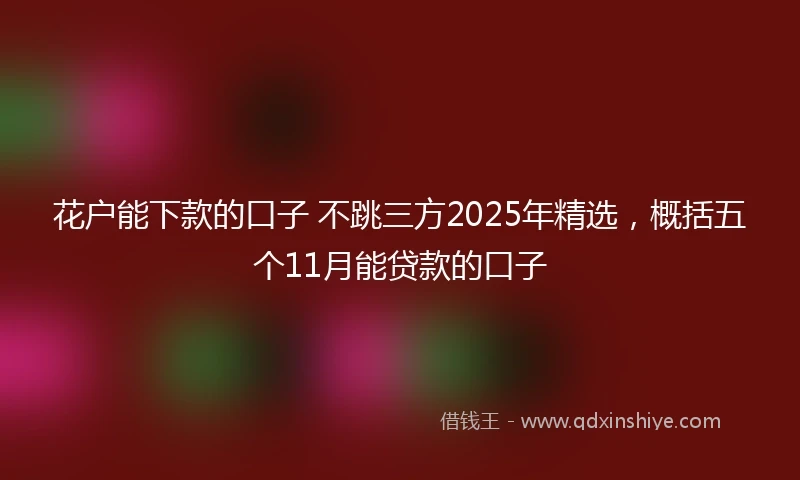 花户能下款的口子 不跳三方2025年精选，概括五个11月能贷款的口子