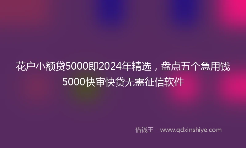 花户小额贷5000即2024年精选，盘点五个急用钱5000快审快贷无需征信软件