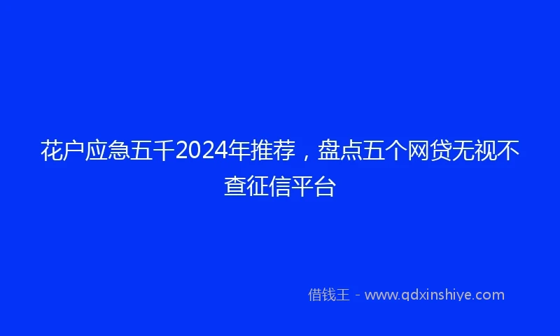 花户应急五千2024年推荐，盘点五个网贷无视不查征信平台