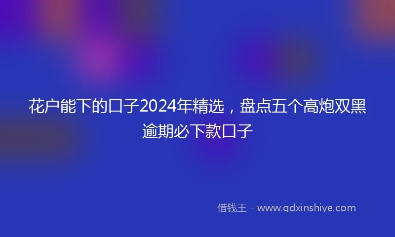 花户能下的口子2024年精选，盘点五个高炮双黑逾期必下款口子