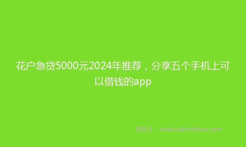 花户急贷5000元2024年推荐,分享五个手机上可以借钱的app