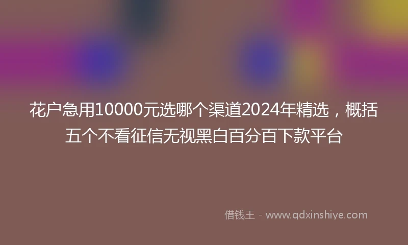 花户急用10000元选哪个渠道2024年精选，概括五个不看征信无视黑白百分百下款平台