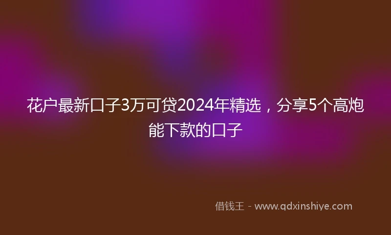花户最新口子3万可贷2024年精选，分享5个高炮能下款的口子