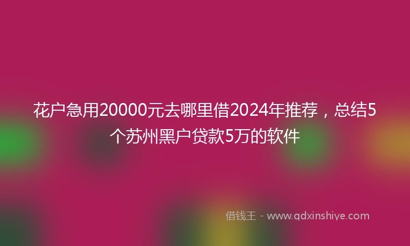 花户急用20000元去哪里借2024年推荐，总结5个苏州黑户贷款5万的软件