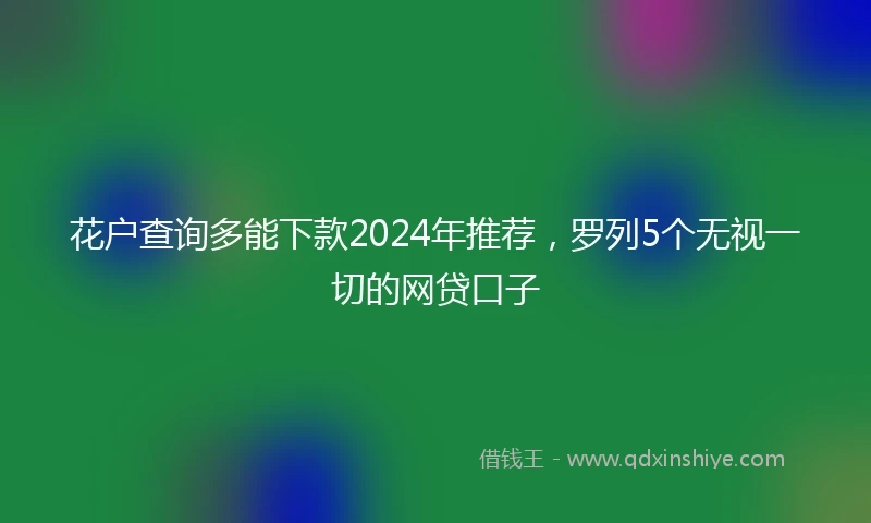 花户查询多能下款2024年推荐，罗列5个无视一切的网贷口子