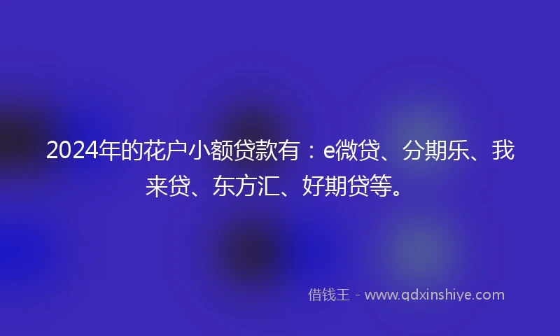 2024年的花户小额贷款有:e微贷、分期乐、我来贷、东方汇、好期贷等。