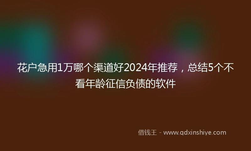 花户急用1万哪个渠道好2024年推荐，总结5个不看年龄征信负债的软件