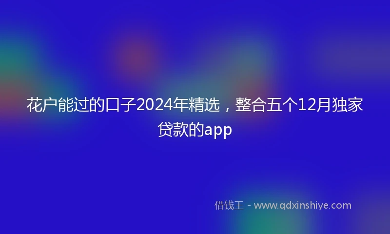 花户能过的口子2024年精选，整合五个12月独家贷款的app