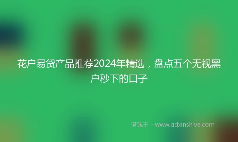 花户易贷产品推荐2024年精选，盘点五个无视黑户秒下的口子