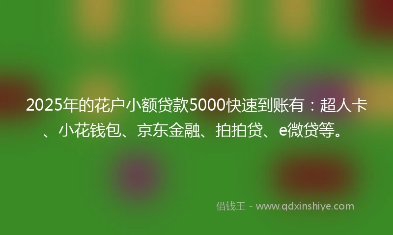 2025年的花户小额贷款5000快速到账有：超人卡、小花钱包、京东金融、拍拍贷、e微贷等。