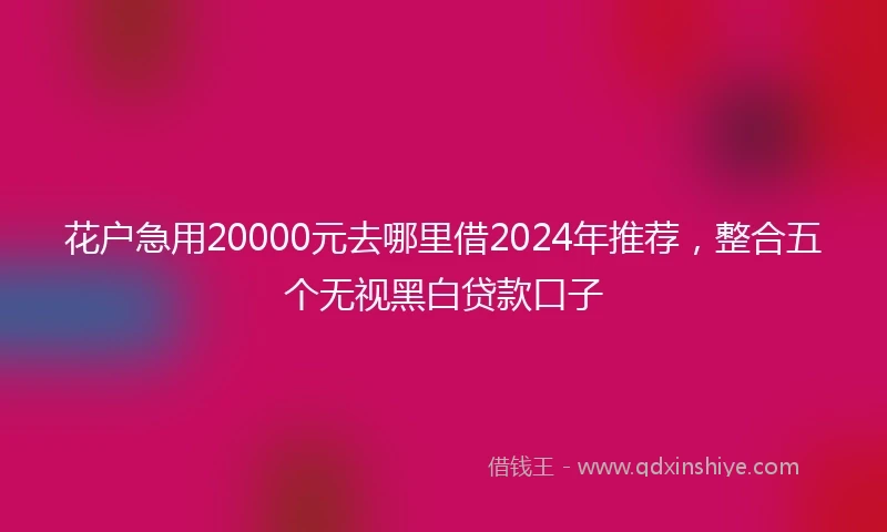 花户急用20000元去哪里借2024年推荐，整合五个无视黑白贷款口子