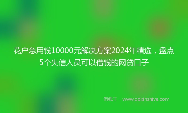 花户急用钱10000元解决方案2024年精选,盘点5个失信人员可以借钱的网贷口子