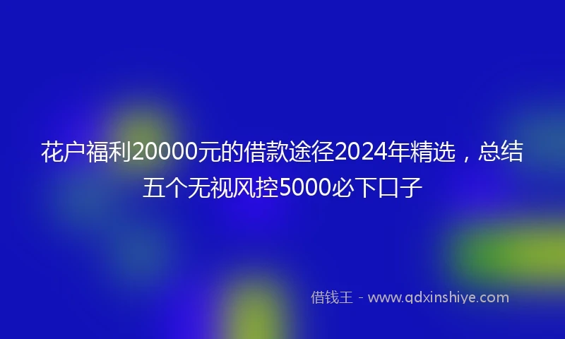 花户福利20000元的借款途径2024年精选，总结五个无视风控5000必下口子