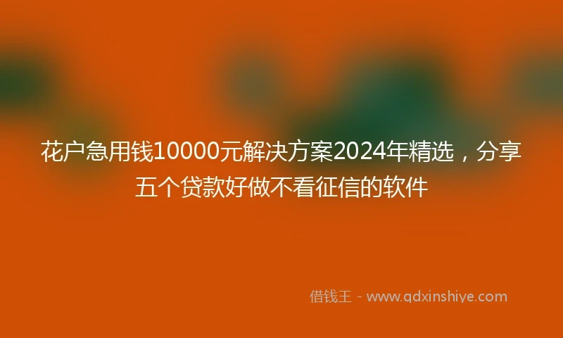 花户急用钱10000元解决方案2024年精选，分享五个贷款好做不看征信的软件