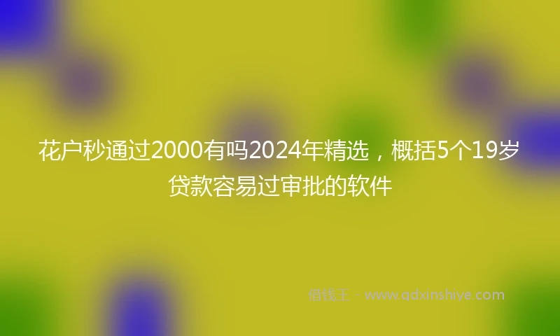 花户秒通过2000有吗2024年精选，概括5个19岁贷款容易过审批的软件