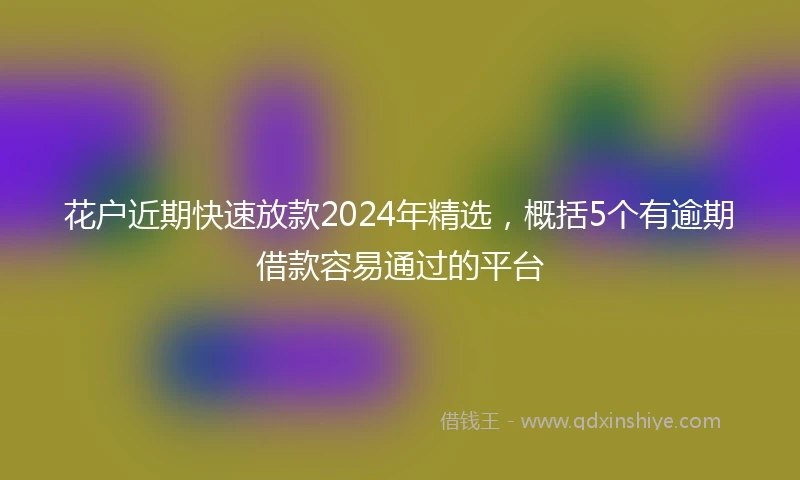 花户近期快速放款2024年精选，概括5个有逾期借款容易通过的平台