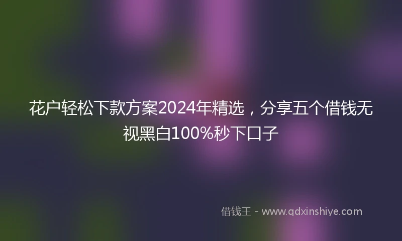 花户轻松下款方案2024年精选，分享五个借钱无视黑白100%秒下口子