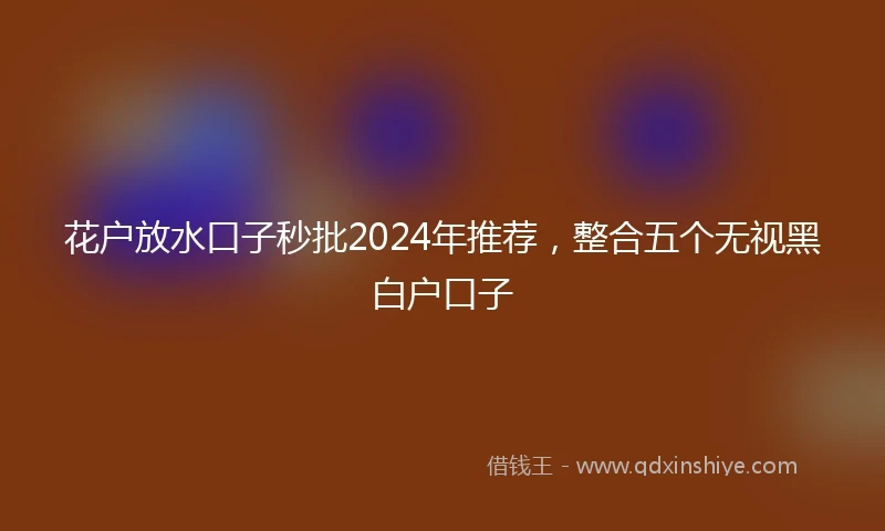 花户放水口子秒批2024年推荐，整合五个无视黑白户口子