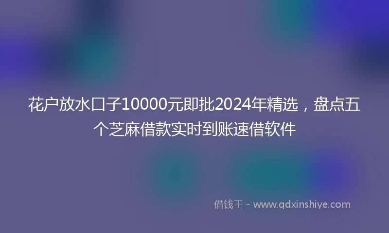 花户放水口子10000元即批2024年精选，盘点五个芝麻借款实时到账速借软件