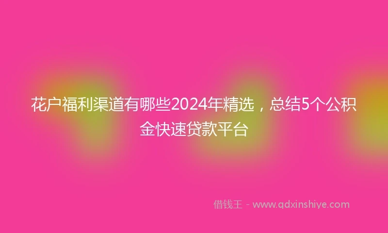 花户福利渠道有哪些2024年精选，总结5个公积金快速贷款平台