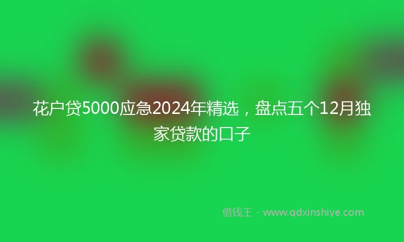 花户贷5000应急2024年精选，盘点五个12月独家贷款的口子