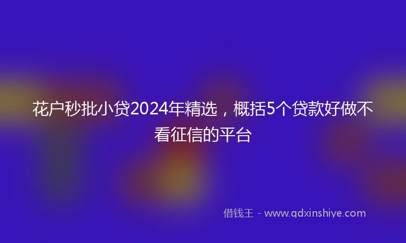 花户秒批小贷2024年精选，概括5个贷款好做不看征信的平台