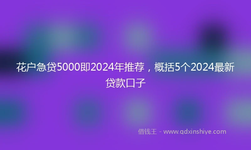 花户急贷5000即2024年推荐，概括5个2024最新贷款口子