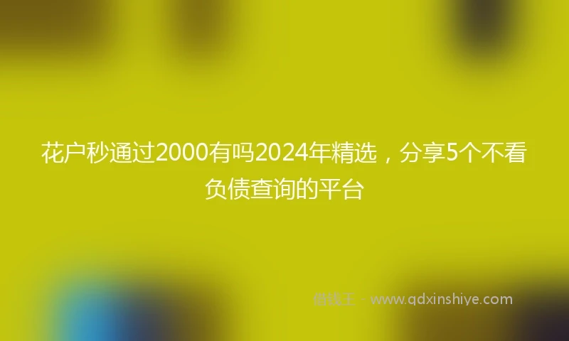 花户秒通过2000有吗2024年精选，分享5个不看负债查询的平台