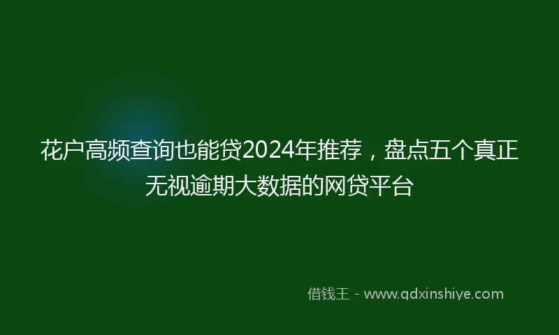 花户高频查询也能贷2024年推荐，盘点五个真正无视逾期大数据的网贷平台