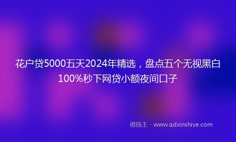 花户贷5000五天2024年精选，盘点五个无视黑白100%秒下网贷小额夜间口子