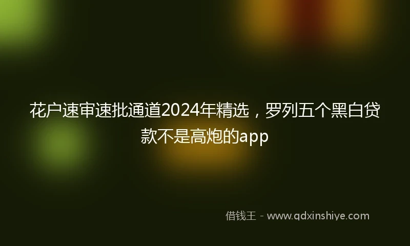 花户速审速批通道2024年精选，罗列五个黑白贷款不是高炮的app