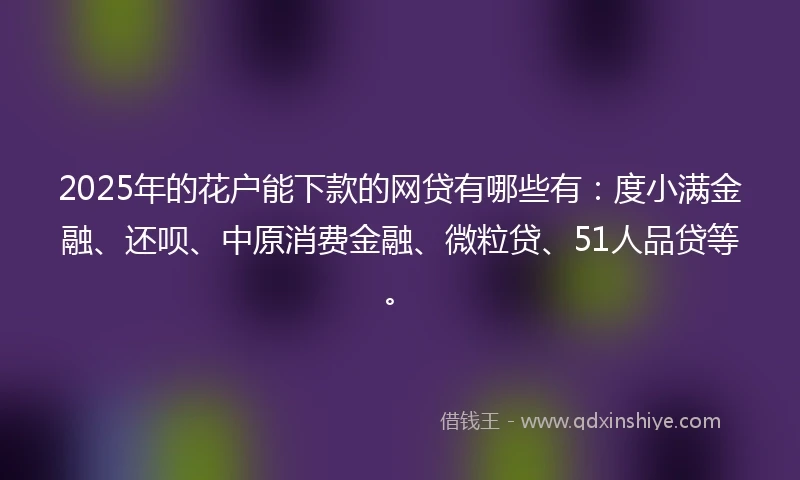 2025年的花户能下款的网贷有哪些有：度小满金融、还呗、中原消费金融、微粒贷、51人品贷等。