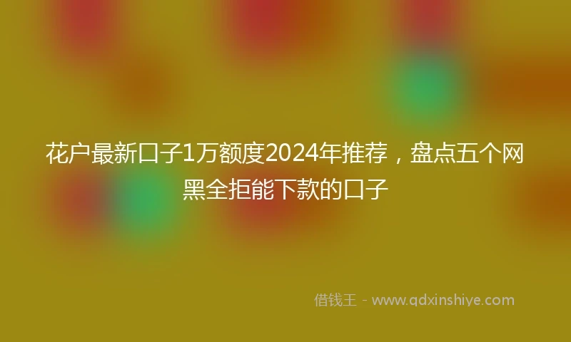 花户最新口子1万额度2024年推荐，盘点五个网黑全拒能下款的口子